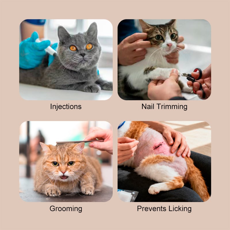 Cat Muzzle Ball For Grooming, Meowing, Or Biting